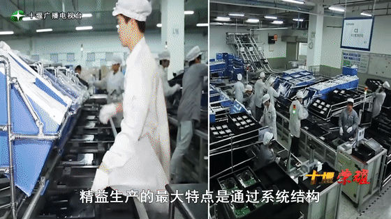 創(chuàng)業(yè)是一條無比艱辛的路，創(chuàng)新更是無限風(fēng)光在險峰。在男性為主導(dǎo)的商海里，女性創(chuàng)業(yè)創(chuàng)新需要鼓足十萬分的勇氣和力量，是挑戰(zhàn)未來成功的小概率事件。而十堰姑娘楊麗便是這小概率事件中的一個傳奇，也是女性創(chuàng)業(yè)創(chuàng)新的榜樣。今天就來認識這位傳奇女性-興千田集團楊麗。