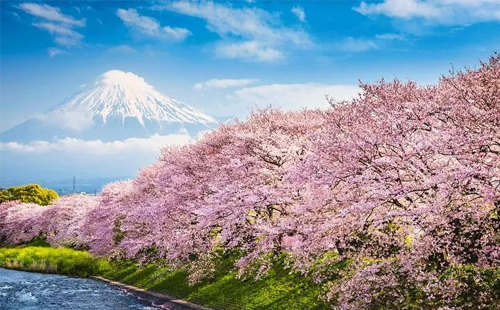 日本研修